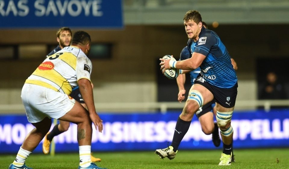 Paul Willemse - 27.11.2015 - Montpellier / La Rochelle - 9e journee de Top 14